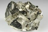 Shiny, Cubic Pyrite Crystal Cluster - Peru #190962-1